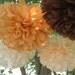 Set of 12  poms ...Pick your colors