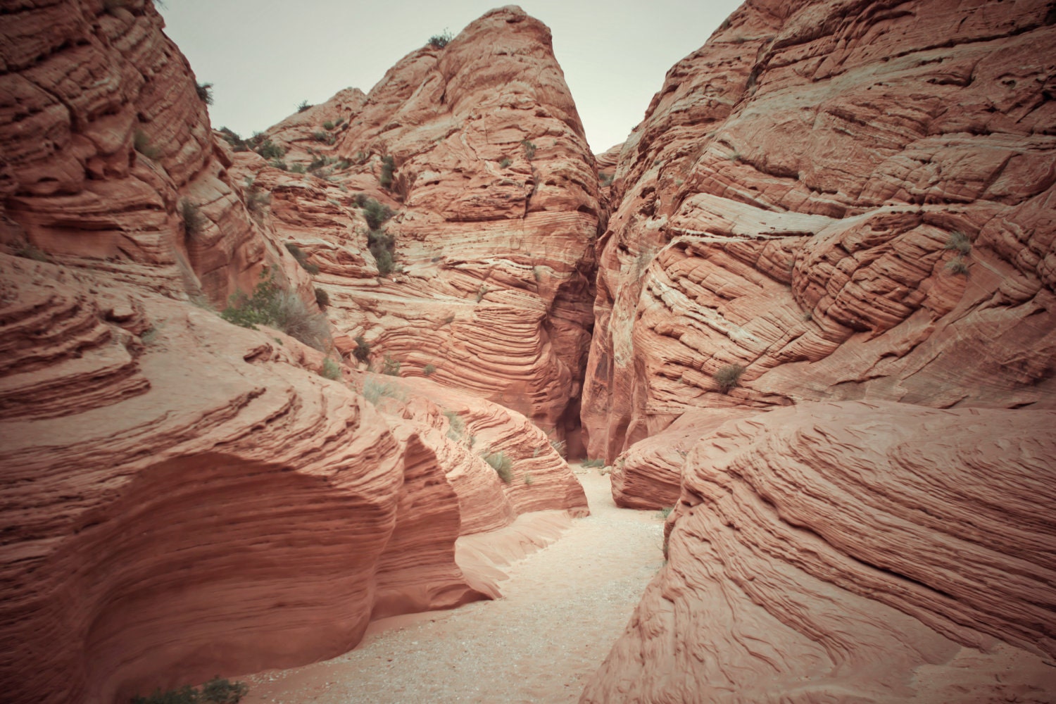 Buckskin Gulch Gateway : Utah