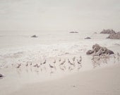 Beach Photograph - California Photograph - El Matador Beach 6 : Malibu, California