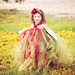 Flower Girl Tutu Dress--Vintage Christmas Wedding--Flower Girls, Pageants, Portraits----Many Colors Available