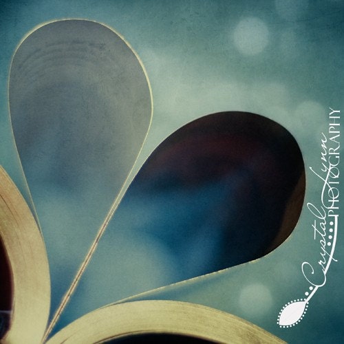 I Heart You - 8x8 Fine Art Photograph