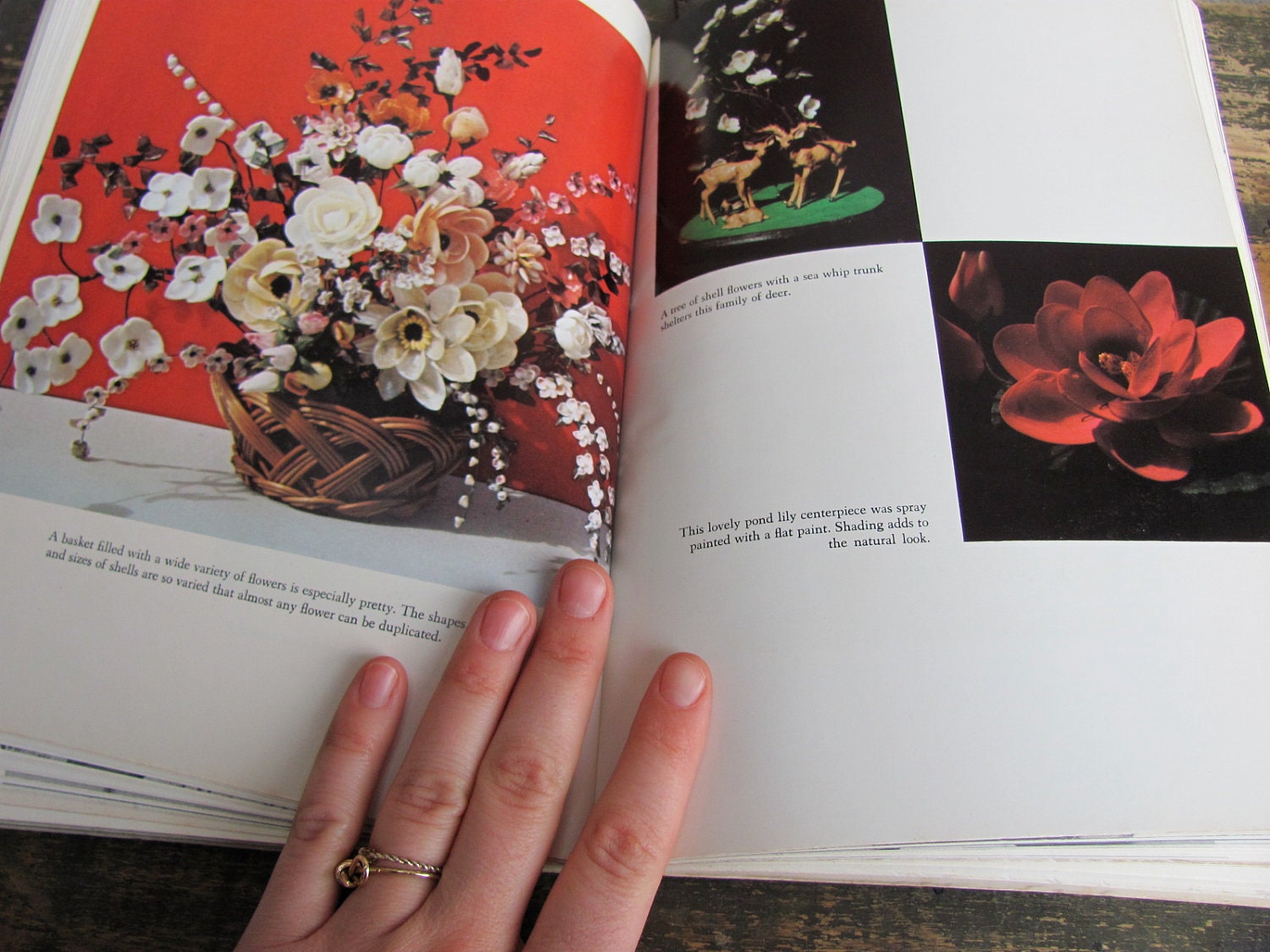 vintage 1970s craft book // SHELLCRAFT