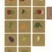 Fall Harvest Mason Jar Labels - u pick - set of 12 - made to order