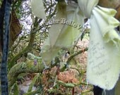 The Wishing Tree, Cornwall, England   8x10 Fine Art Digital Print