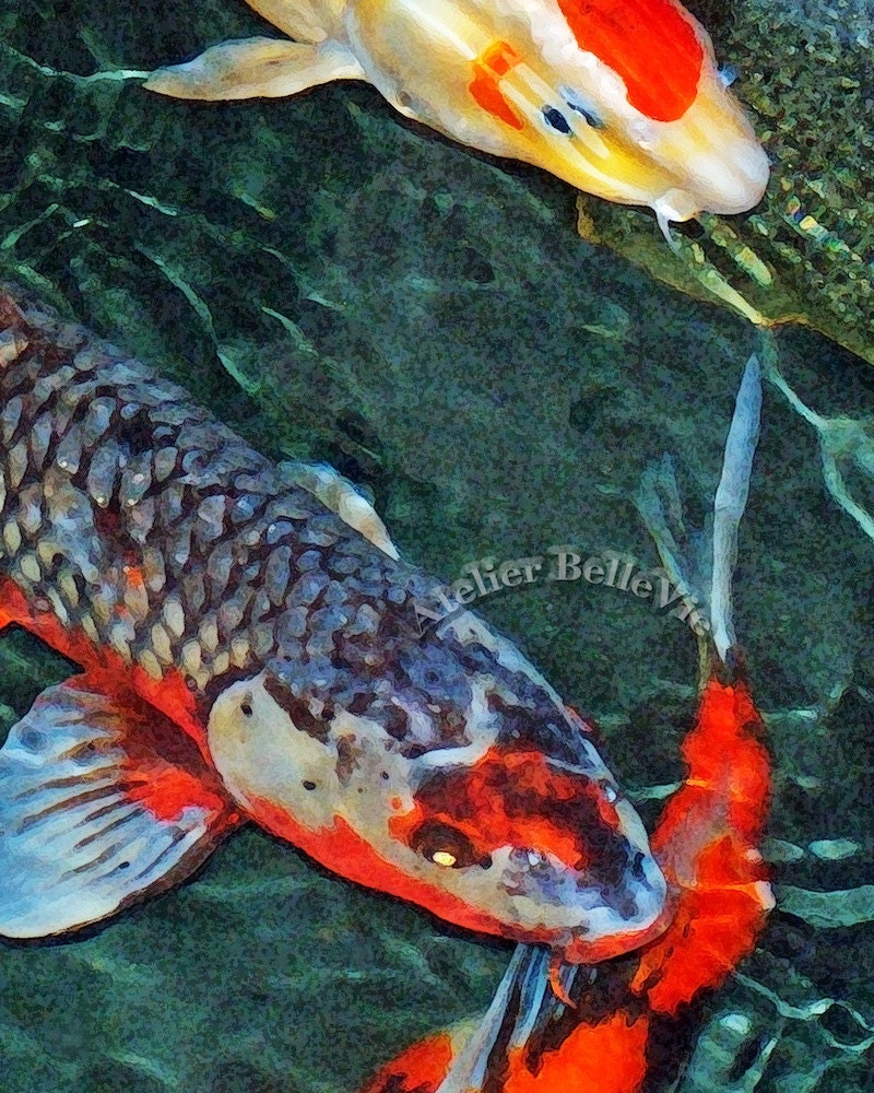 Metallic Shimmer  Print Set - "Diptych: Koi in Watercolor 2" -  2 8x10 Fine Art Photographic Prints
