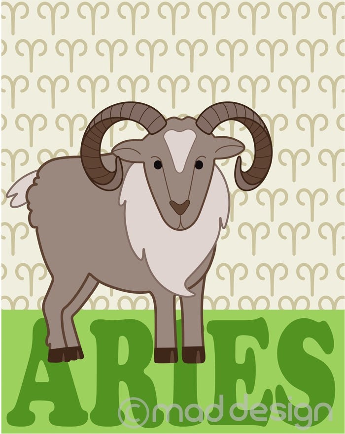 Childrens Wall Murals Amazon