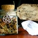 Protection Herbal Blend
