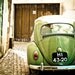 the olive green vintage dream (8x10 original fine art print)