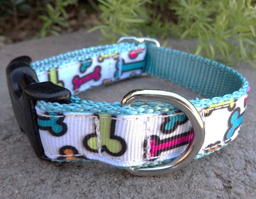 3/4" Dog Collar Adj. Quick Release- Color of Bones - Petite Sm  8"-11" or Medium-Choose webbing color