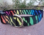 Dog Collar - Zebra Gone Wild - 1" Adjustable Quick Release