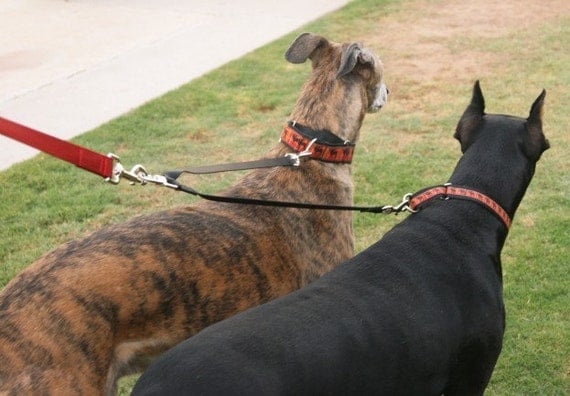 Tandem Walker Can Walk Two Dogs on One Leash - Choose from 16 colors img