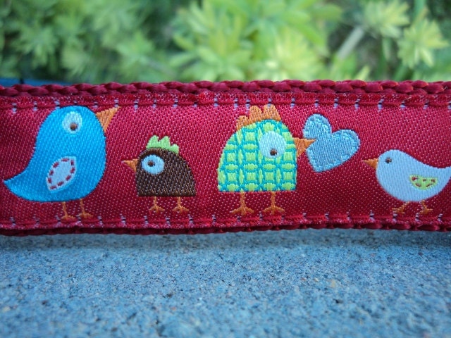 1" Dog Collar Birds of a Feather img