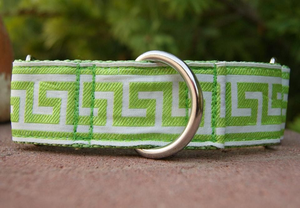 1.5" Martingale Collar -  Greek Key Lime - Medium or Large (Or as a quick release)