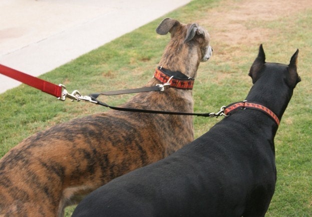Tandem Walker Can Walk Two Dogs on One Leash - Choose from 16 colors img