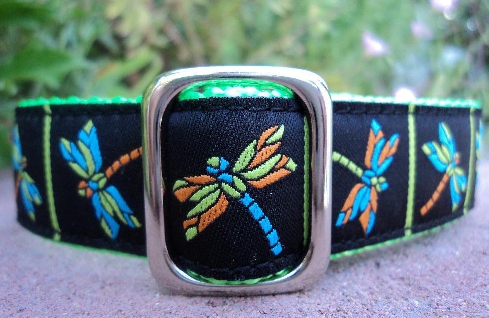 1" Dog Collar Adj. Quick Release(L)- Dragonfly -- Sm, Med or Lge (Or as a Martingale) Choose web color img