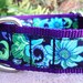 Dog Collar / Ice Blue Purple Passion 1.5" Width img