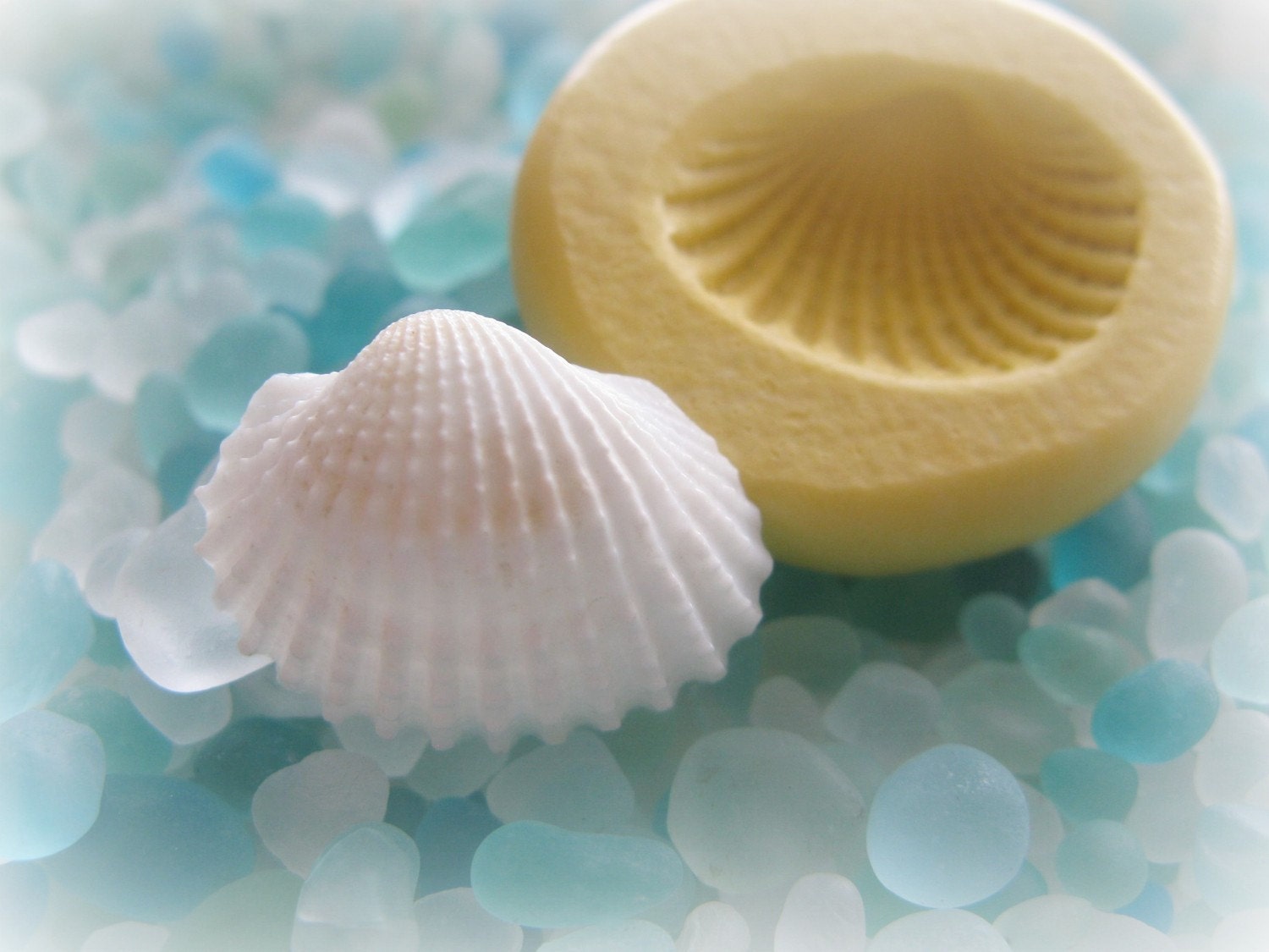 Sea Shell Fondant Clay Candy Resin Mold