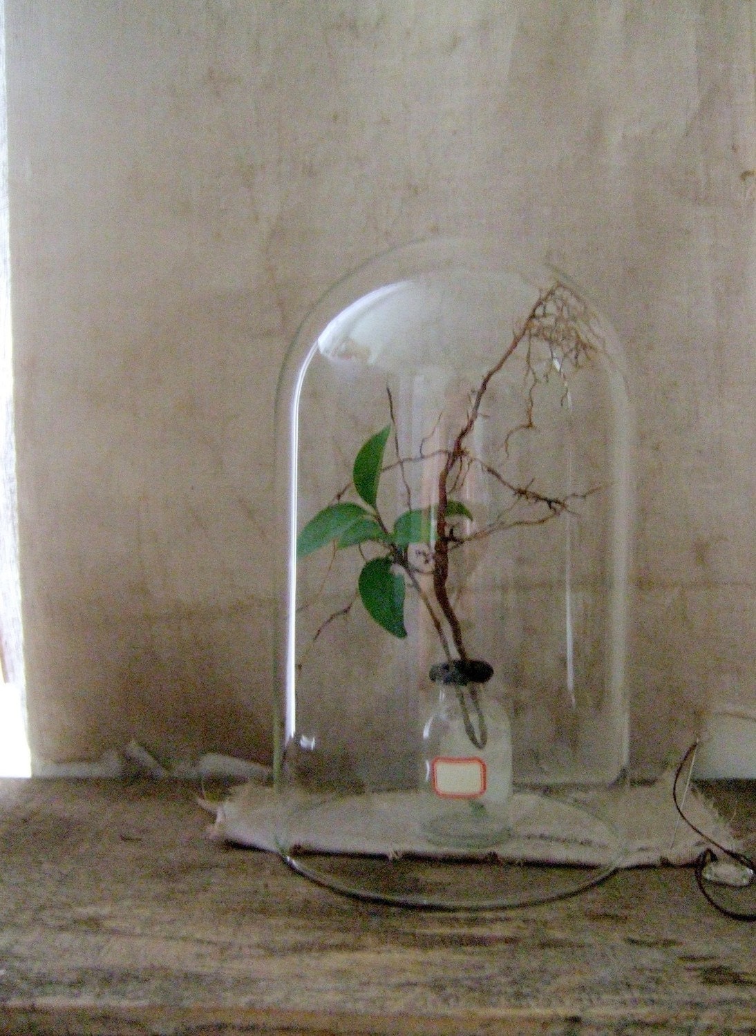 vintage glass dome