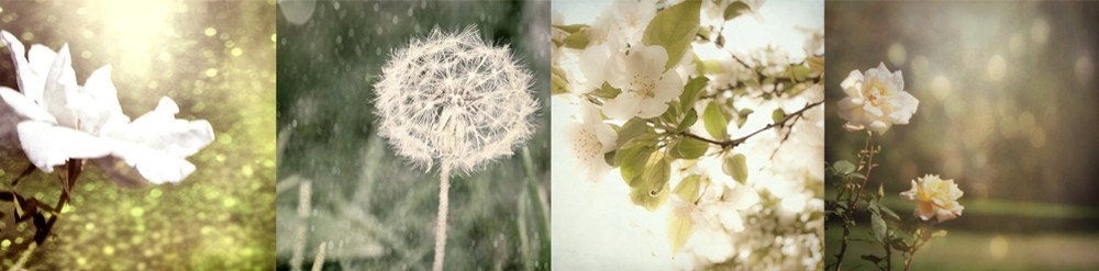 White Flowers Home Decor Collection 4 5x5 Fine Art Photos
