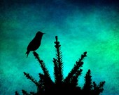 bird silhouette gothic with color 8x12 metallic photo print