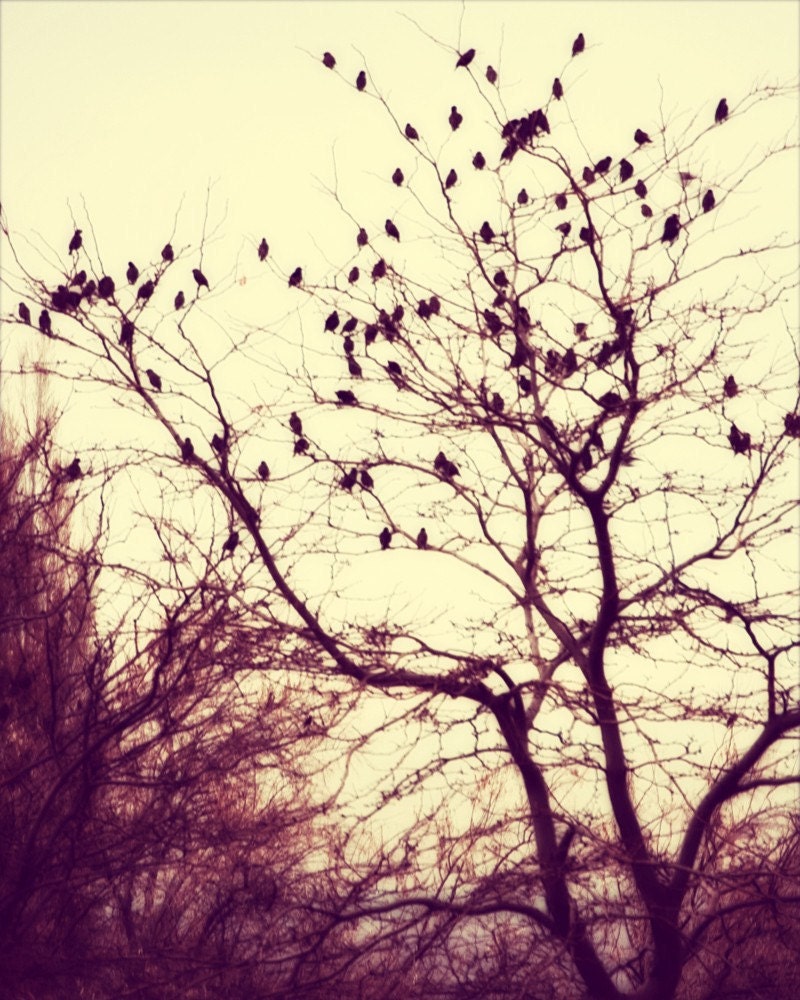 Birds in a Tree Photography Gothic Dark Antique Style home decor Fine Art Metallic Photo 8x10