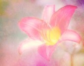 Rainbow Flower photo Fine Art Flower photography 8x10 Metallic Dream Like Photograph Print