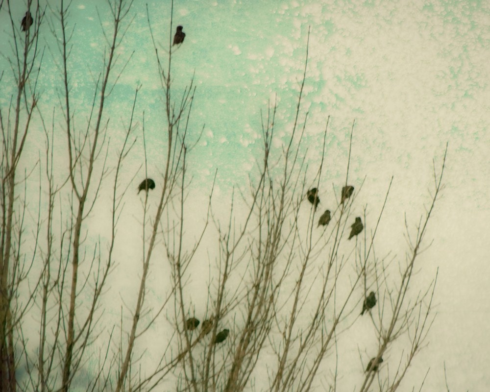 16x20 Fine Art Photo You Choose