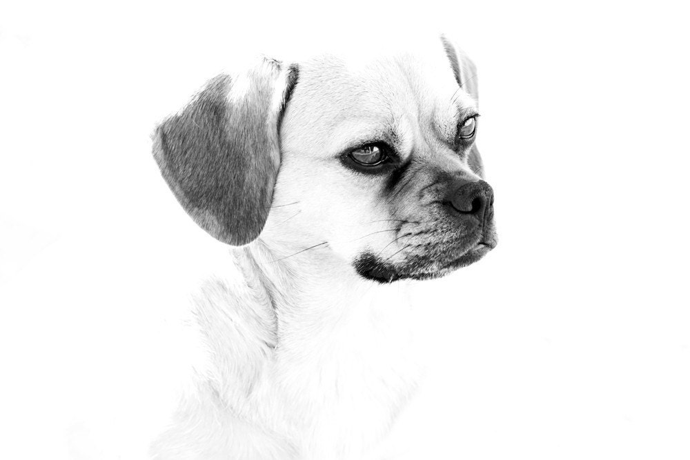 16x24 Fine Art Photo You Choose