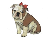 Illustrated Bulldog Lady Pup Blank Greetings Card