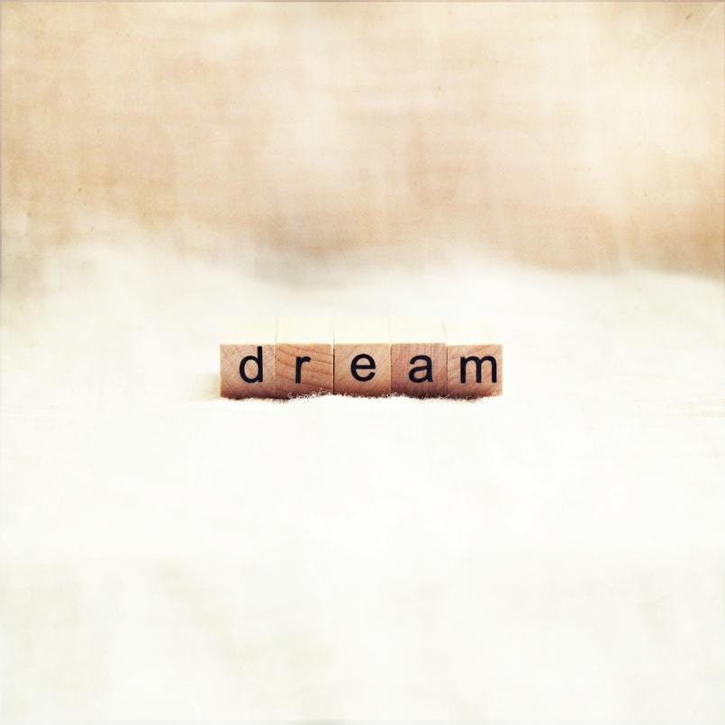 Spring Wedding Photography - Dream 8x8 photography print baby shower gift children's room art baby gift scrabble tile dreamy winter snow
