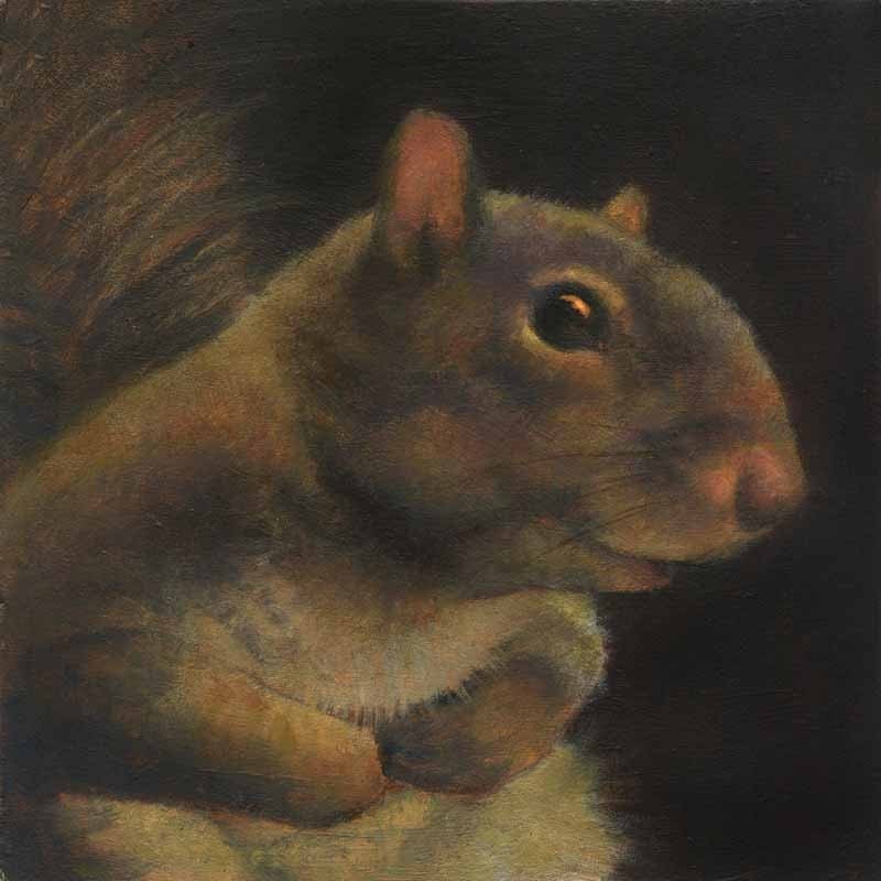 Squirrel Portrait