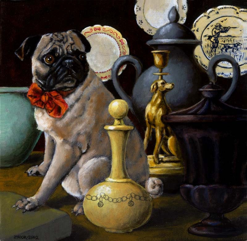 Pug Dog Portrait