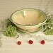 Berry Bowl with Plate