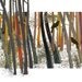 Woodland animals Bird In the trees natural home decor nature brown earth tones