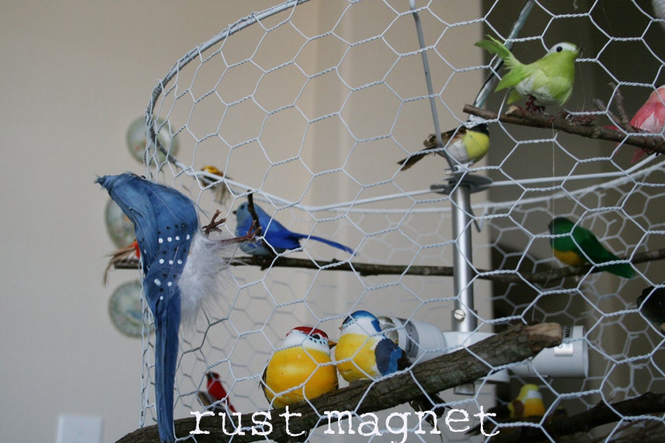 Bird in a Cage Light Fixture CUSTOM single-bulb version