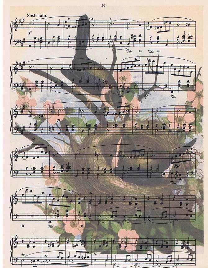 Original French Sheet Music with Nest and Birds Printed on it