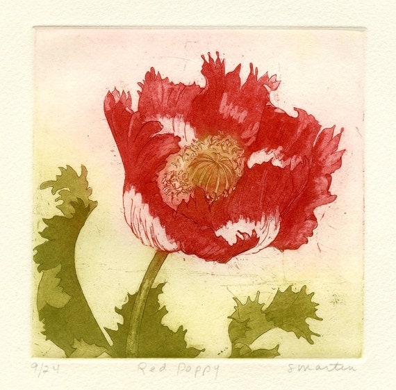 Red Poppy, Original Etching