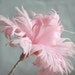 eBook- How to Make Feather Flowers B - With Bouquet and Accessories Tutorials