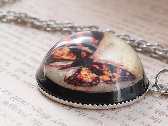 Vintage : Black and Orange Butterfly