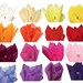 6  Large Pomettes