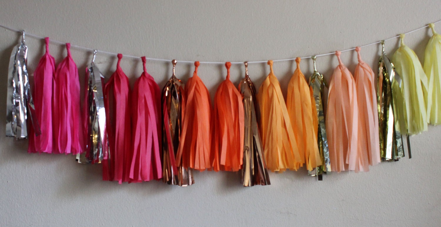 Tissue Tassel Garland -18 tassels- Ombre
