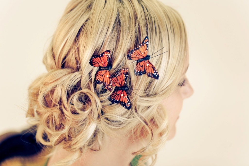 Monarch Butterfly Bobbies