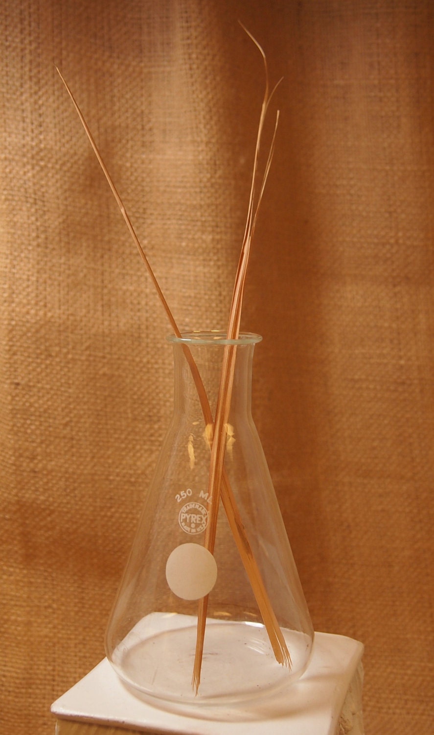 erlenmeyer flask vase
