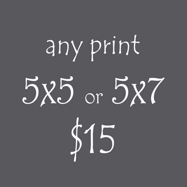Any 5x5 or 5x7 Giclee Print - Home Decor - Gallery Wall Art