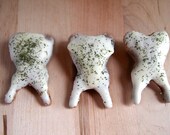 Dog Treats : Half Pound of Breath Busters