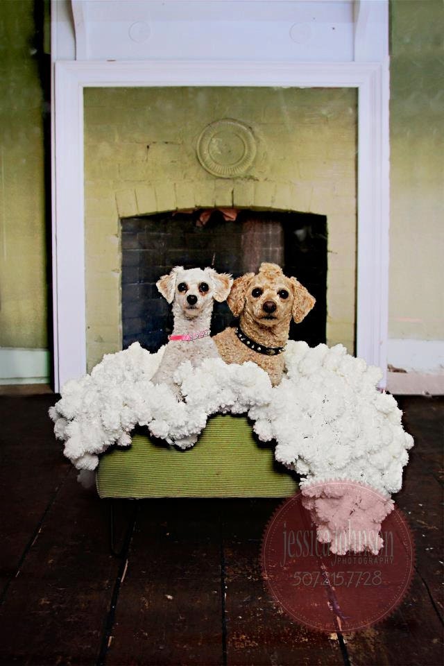 Dog Portrait Photo Prop Puff Ball 3x3 Pet Blanket. 'Marshmallow' Photography Prop Texture Rug for Pictures