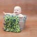 Mini Blanket Prop - Lime Green, Blue 2x2 Rag Blanket 'Blue Bonnets' Baby Newborn Prop Photo Rug