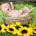 Baby Photo Prop  - Apple Green Newborn Photography BLANKET. 2x2 THICK Fur Texture. Hand Knit 'Mint' PuffPelt Rug