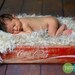 Hand Knit Baby Blanket Photography Prop. Ivory Cream Fur Look Newborn Prop. 'Wholesome' Rug in Neutral