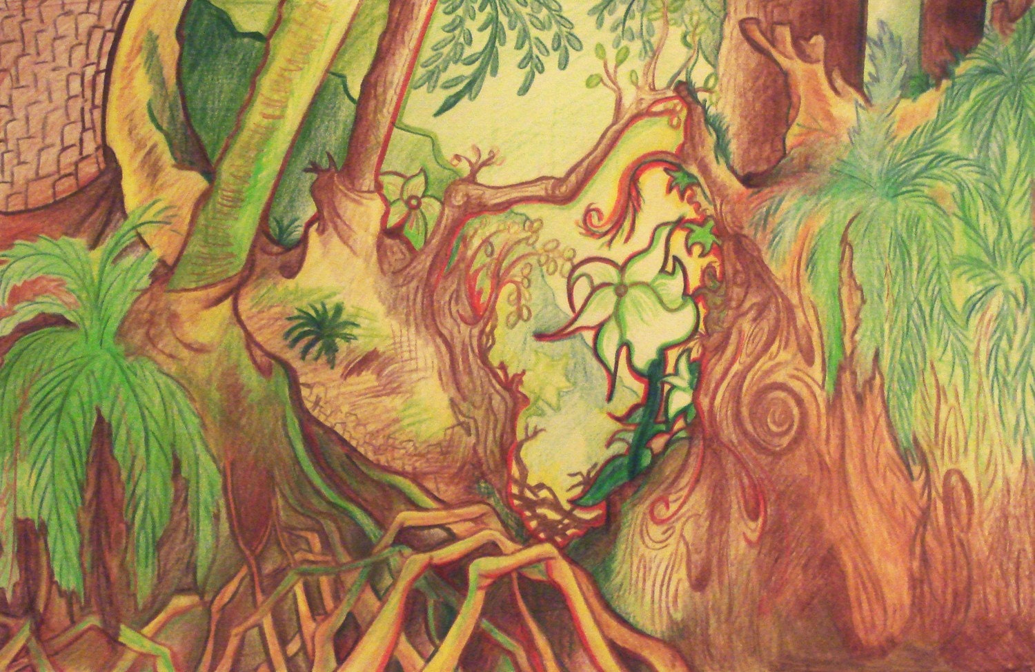 Redwood Forrest- Original 11x17 Drawing
